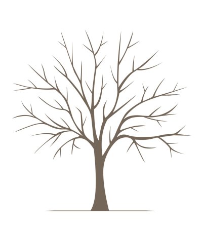 шаблон дерева без листьев для аппликации в детском саду 9