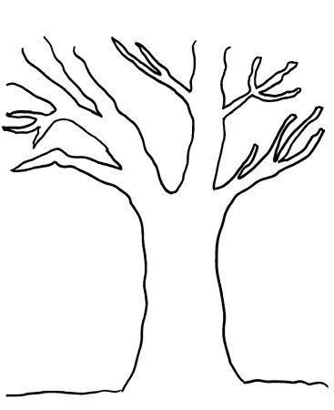 шаблон дерева без листьев для аппликации в детском саду 10