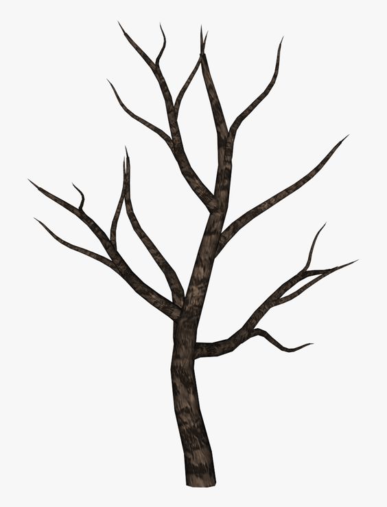 шаблон дерева без листьев для аппликации в подготовительной группе 7