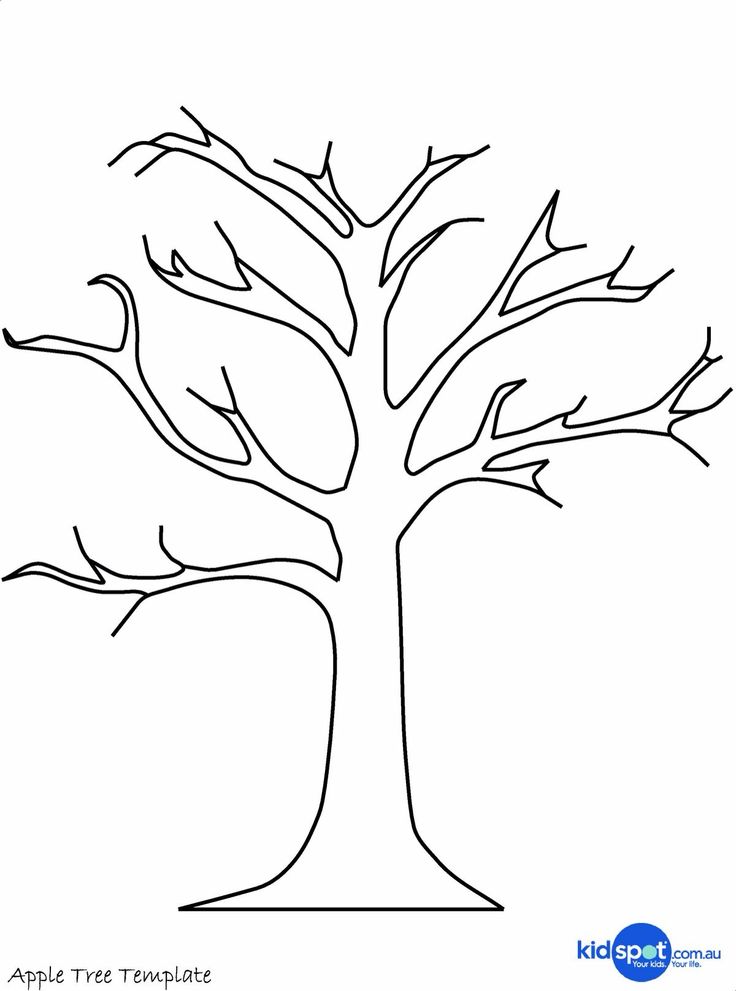 шаблон дерева без листьев для аппликации в подготовительной группе 9