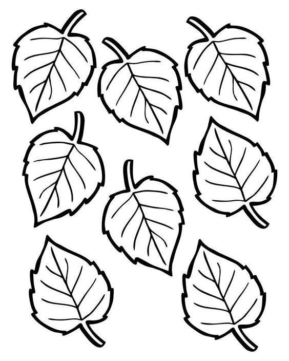 листья березы шаблоны для вырезания цветные 5