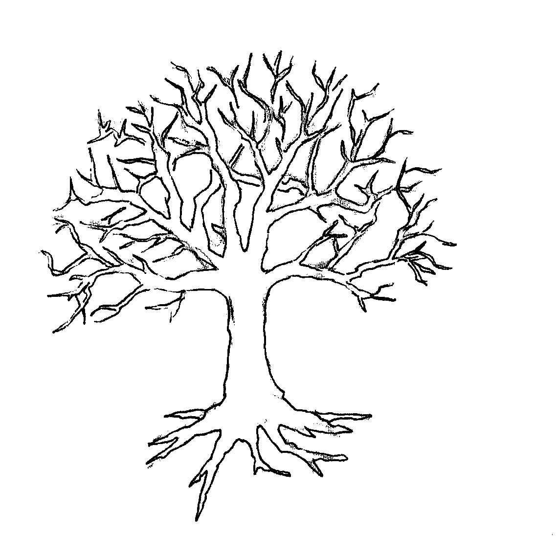 шаблон дерева без листьев для аппликации в средней группе 7