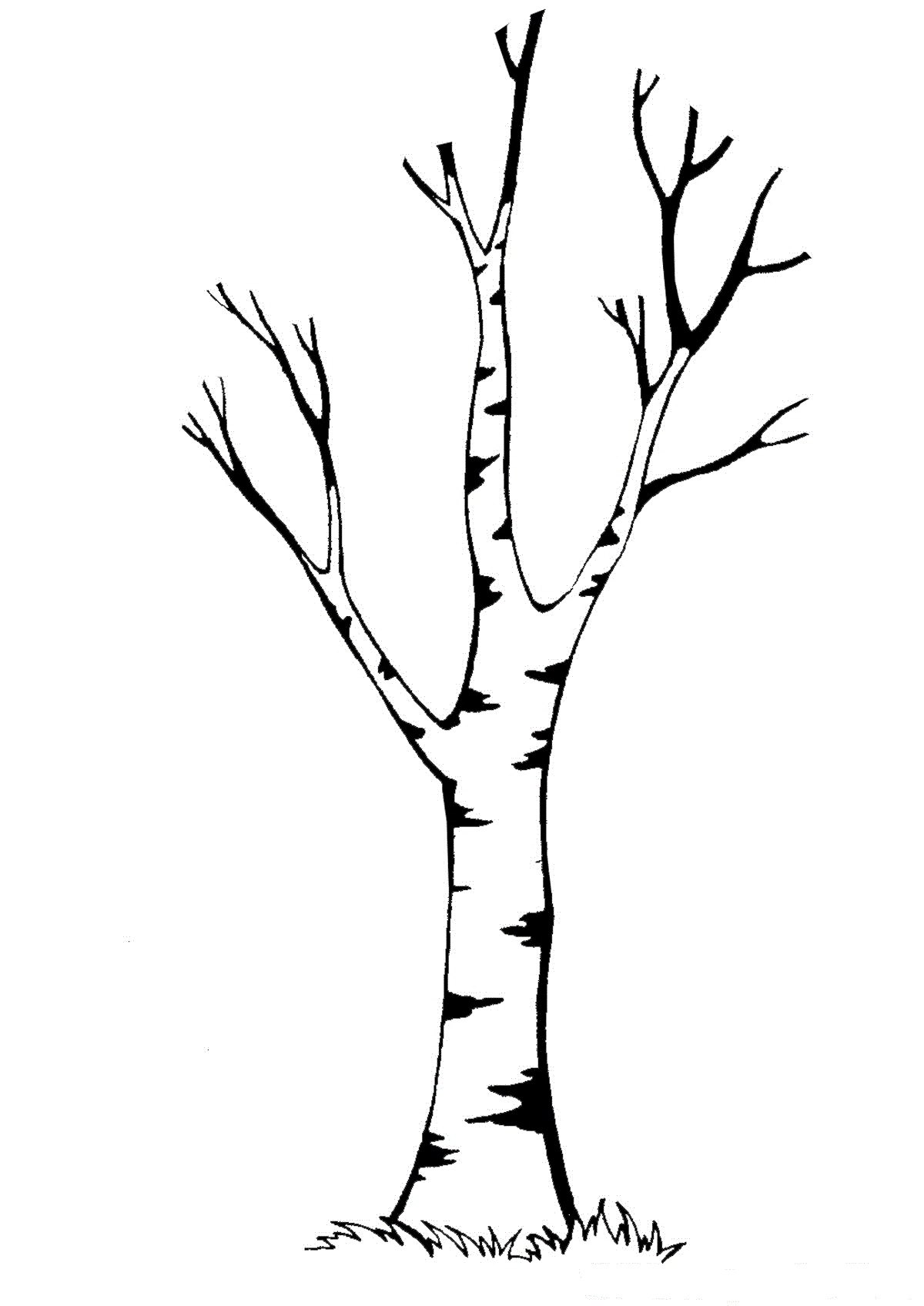 шаблон дерева без листьев для аппликации в средней группе 10
