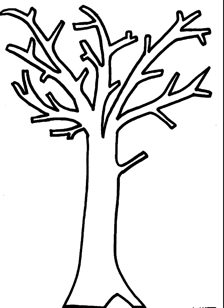 шаблон дерева без листьев для аппликации в средней группе 6