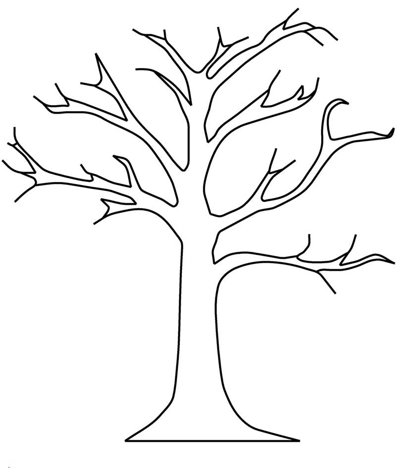 шаблон дерево без листьев для аппликации а4 4