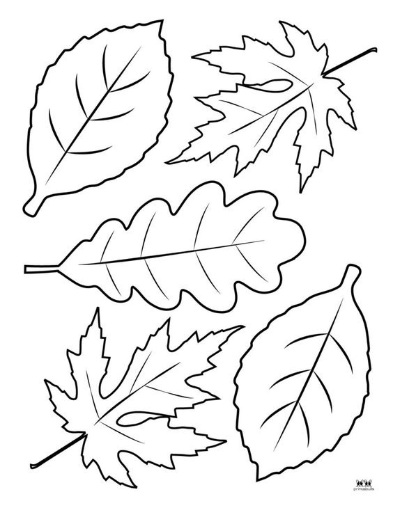 контур дерева без листьев шаблоны для аппликации распечатать 4