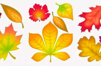 Осенние листья трафареты для вырезания из бумаги цветные и контуры 11