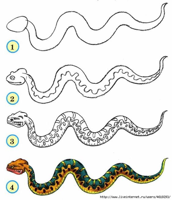 рисунок для детей змея пошагово 7