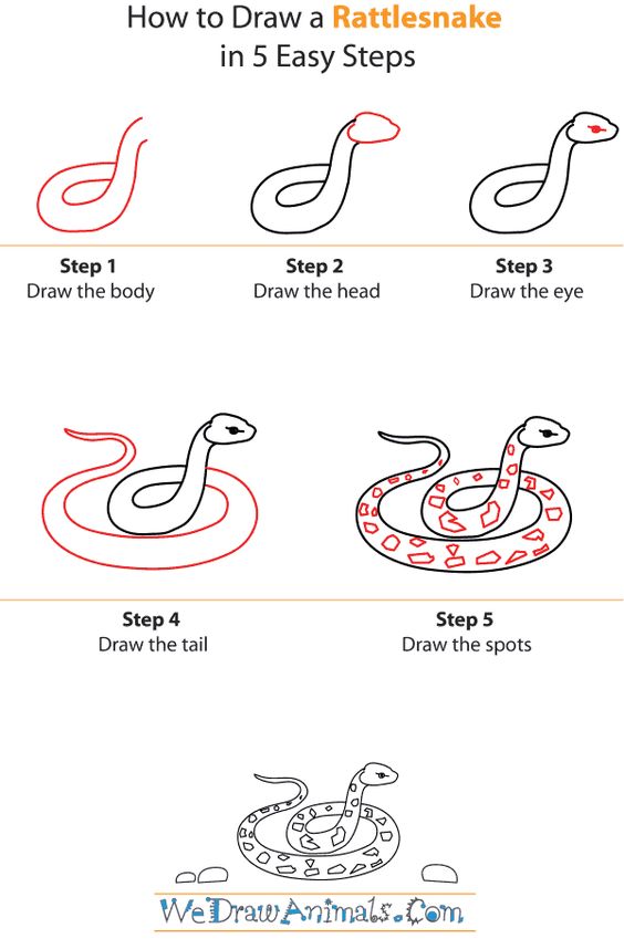 рисунок для детей змея пошагово 5