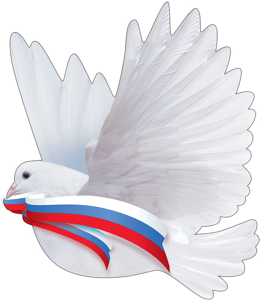 на день российского флага трафареты 2