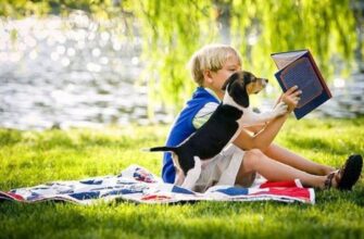 Новинки детских книг