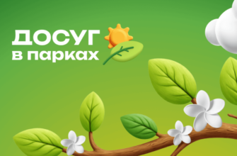 Досуг в парке